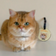 Pooji - Custom Pet Portrait Luggage Tag