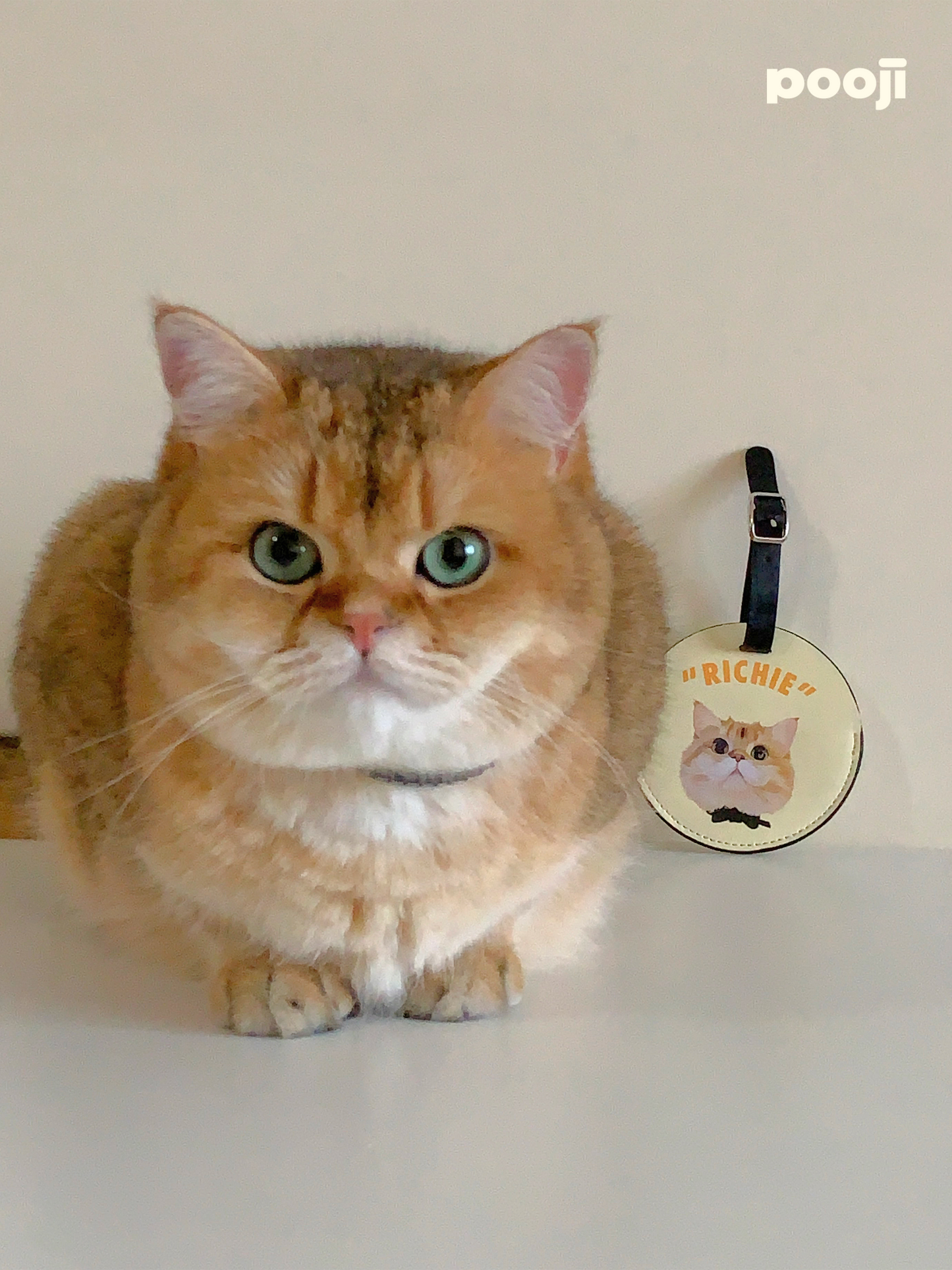 Pooji - Custom Pet Portrait Luggage Tag