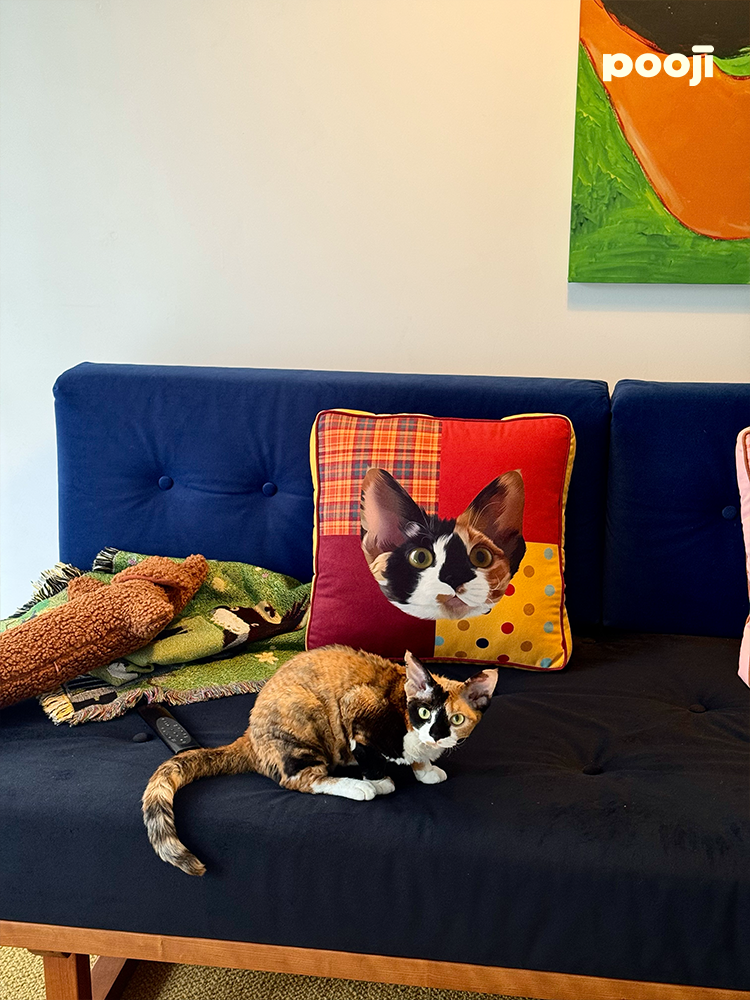Pooji - Custom Pet Cushion Home Decor