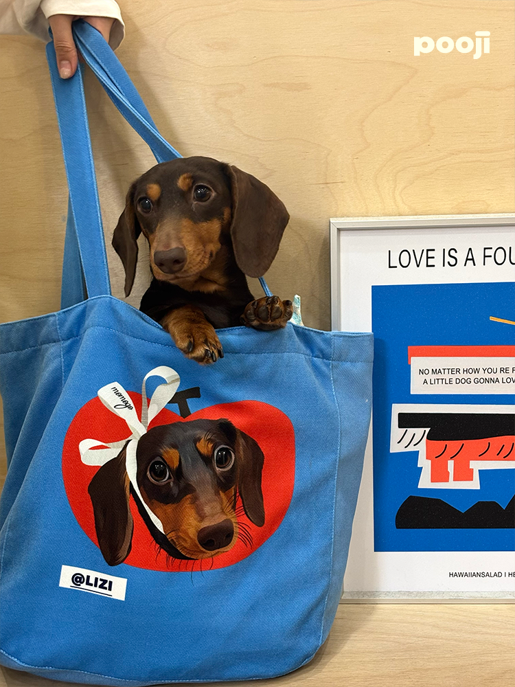 Pooji - Custom Pet Portrait Canvas Tote