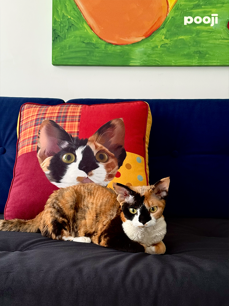 Pooji - Custom Pet Cushion Home Decor