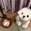 Pooji - Custom Pet Portrait Luggage Tag