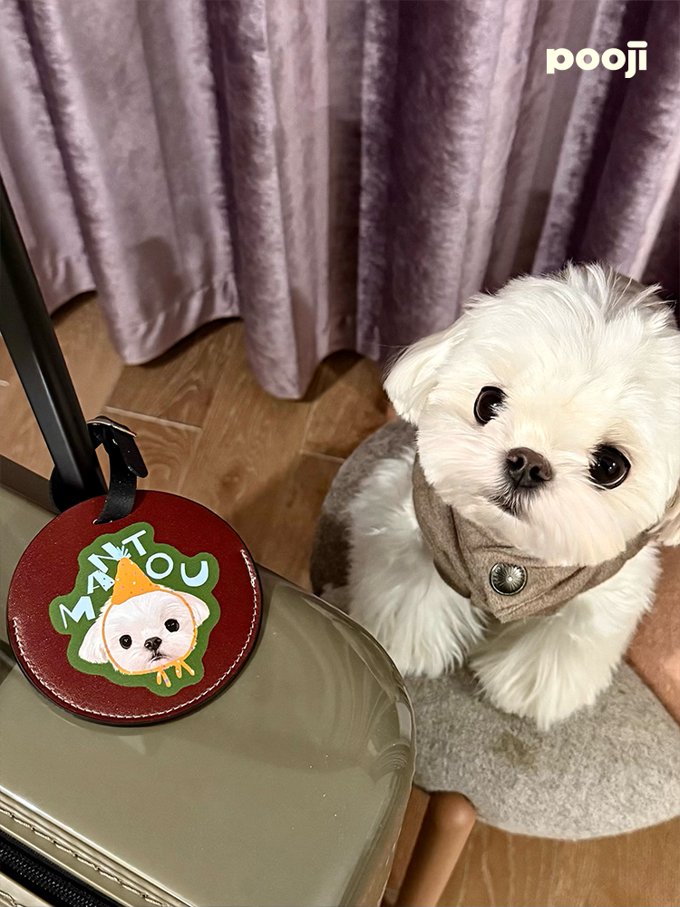Pooji - Custom Pet Portrait Luggage Tag