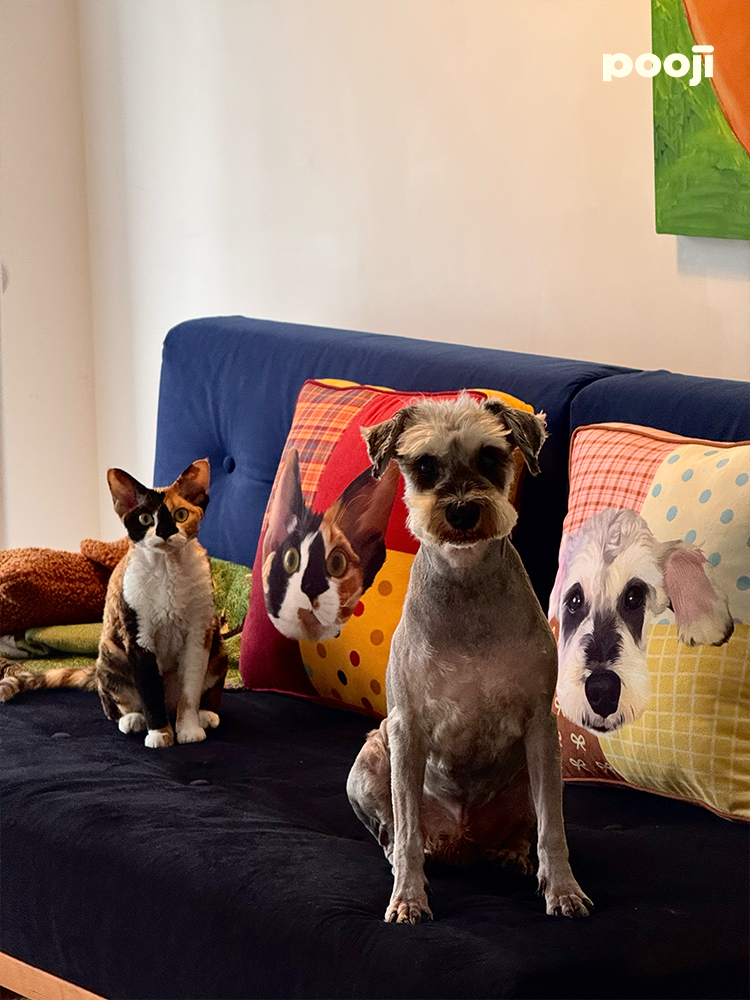 Pooji - Custom Pet Cushion Home Decor