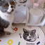 Pooji - Custom Pet Placemat Table Mat