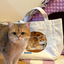 Pooji - Custom Pet Portrait Canvas Tote