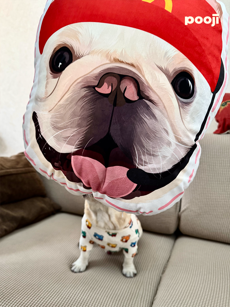Pooji - Custom Pet Portrait Pillow